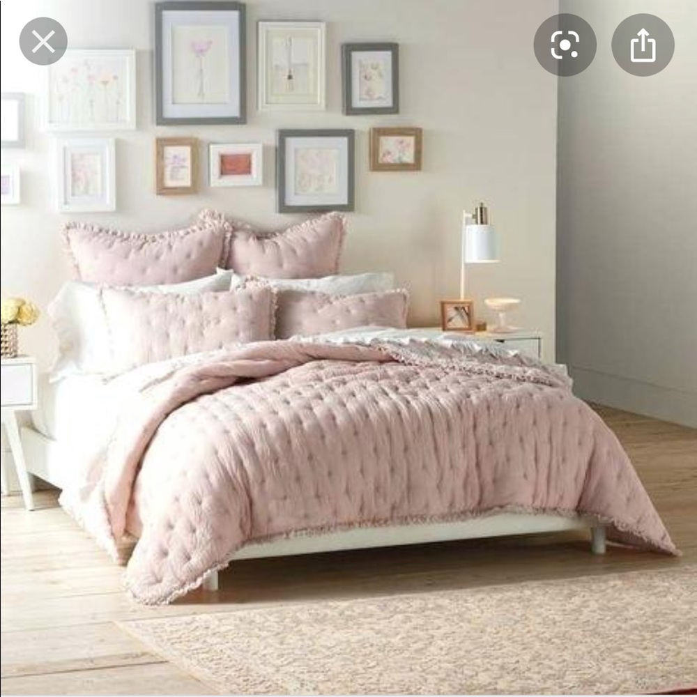 LC Lauren Conrad blush Swiss dot coverlet Queen